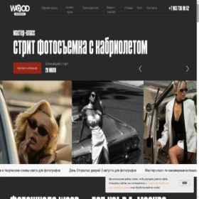 Скриншот главной страницы сайта shkolawood.ru