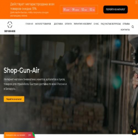 Скриншот главной страницы сайта shop-gun-air.ru