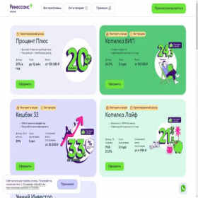 Скриншот главной страницы сайта shop.renlife.ru