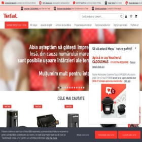 Скриншот главной страницы сайта shop.tefal.ro