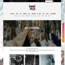 Скриншот главной страницы сайта shopboard.ru