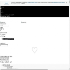Скриншот главной страницы сайта shopvilleroyboch.ru