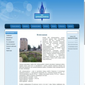 Скриншот главной страницы сайта shpagas.ru
