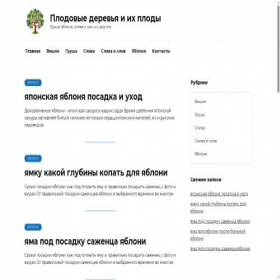 Скриншот главной страницы сайта shtyknozh.ru