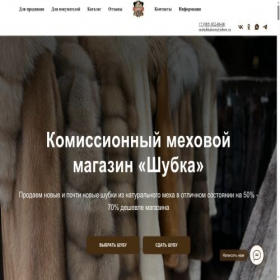 Скриншот главной страницы сайта shubka.net