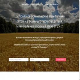 Скриншот главной страницы сайта shugurovskoe.ru