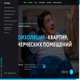 Скриншот главной страницы сайта shumoed.ru