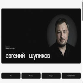 Скриншот главной страницы сайта shupikov.com