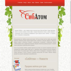 Скриншот главной страницы сайта sibatom38.ru