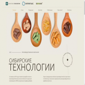 Скриншот главной страницы сайта sibertech.ru