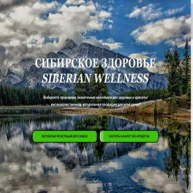 Скриншот главной страницы сайта sibir-well.tilda.ws