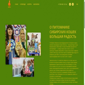 Скриншот главной страницы сайта sibirgreatjoy.com
