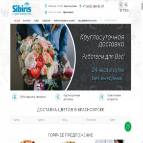 Скриншот главной страницы сайта sibiris24.ru