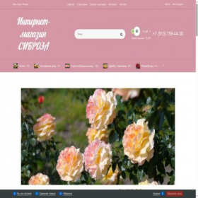 Скриншот главной страницы сайта sibroza.ru