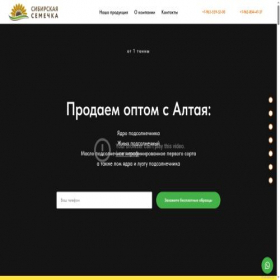 Скриншот главной страницы сайта sibsem.com