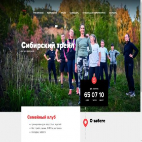 Скриншот главной страницы сайта sibtrl.ru