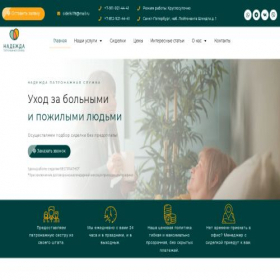 Скриншот главной страницы сайта sidelki78.ru