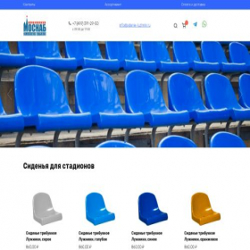 Скриншот главной страницы сайта sidenie-luzhniki.ru