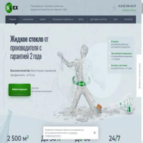 Скриншот главной страницы сайта sil-ex.ru