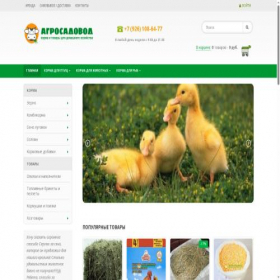 Скриншот главной страницы сайта silage.ru