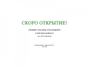 Скриншот главной страницы сайта silicin.ru