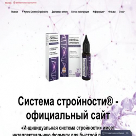 Скриншот главной страницы сайта sistema-stroynosti.com