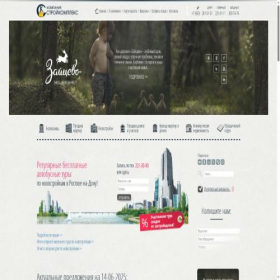 Скриншот главной страницы сайта sk-don.ru