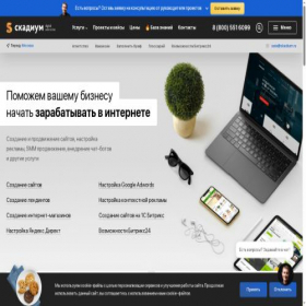 Скриншот главной страницы сайта skadium.ru