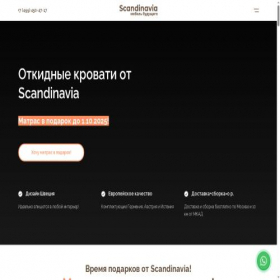 Скриншот главной страницы сайта skandinaviyalite.com