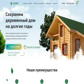 Скриншот главной страницы сайта skat38.ru