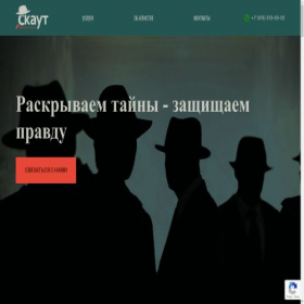 Скриншот главной страницы сайта skaut.pro