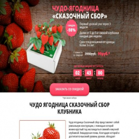Скриншот главной страницы сайта skazochni-sbor.goodshotsale.com