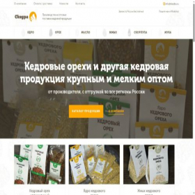 Скриншот главной страницы сайта skedra.ru