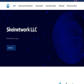 Скриншот главной страницы сайта skeinetwork.com