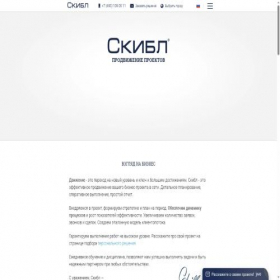 Скриншот главной страницы сайта skibl.ru