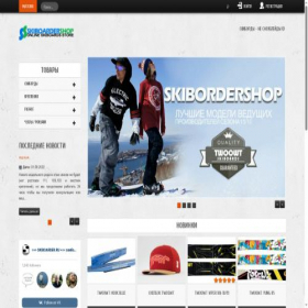 Скриншот главной страницы сайта skiboardershop.ru