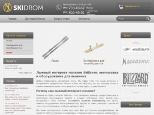 Скриншот главной страницы сайта skidrom.ru