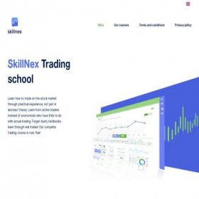 Скриншот главной страницы сайта skillnextschool.com