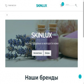 Скриншот главной страницы сайта skinlux.ru