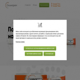 Скриншот главной страницы сайта skinoren.ru