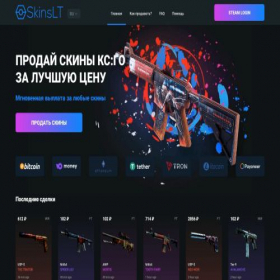 Скриншот главной страницы сайта skinslt.com