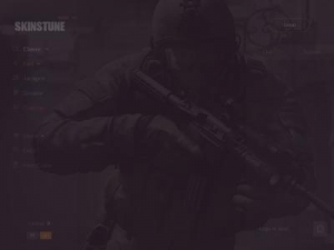 Скриншот главной страницы сайта skinstune.com