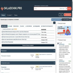 Скриншот главной страницы сайта skladchiki.pro