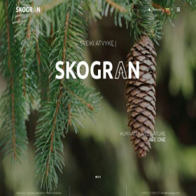 Скриншот главной страницы сайта skogran.com