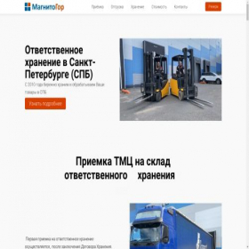 Скриншот главной страницы сайта skoh.ru