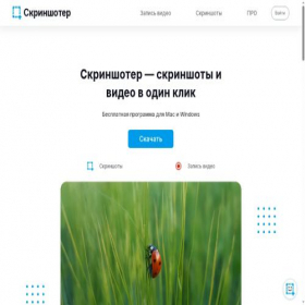 Скриншот главной страницы сайта skrinshoter.ru