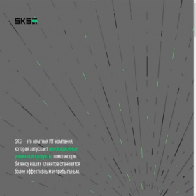 Скриншот главной страницы сайта sks-sys.ru