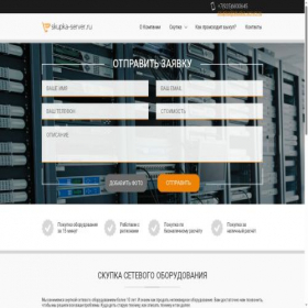 Скриншот главной страницы сайта skupka-server.ru