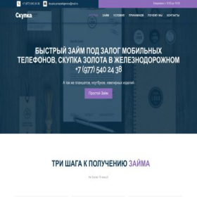 Скриншот главной страницы сайта skupkaedelveys.ru
