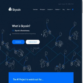 Скриншот главной страницы сайта skycoin.com